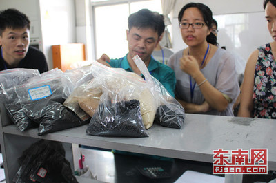 福建农大社会实践队走进中国最大活性炭生产基地 - 本网原创 - 东南网